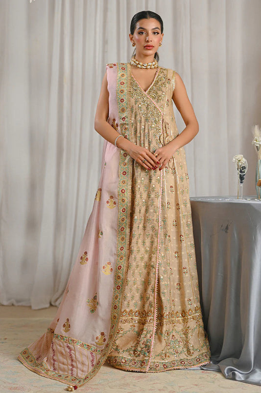 Ansab Jahangir C'est Parti! Luxe Pret'25 - Noelle