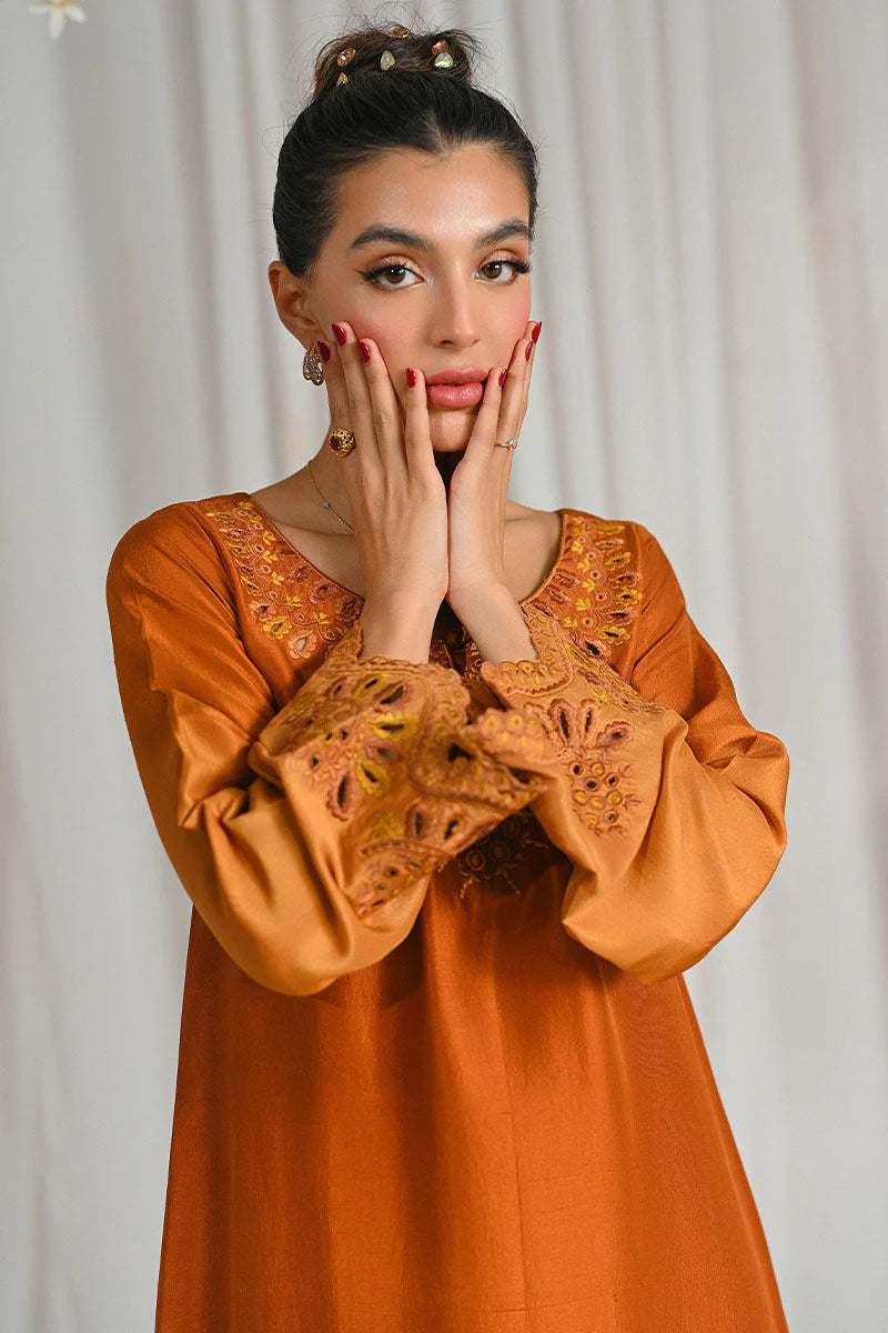 Ansab Jahangir C'est Parti! Luxe Pret'25 - Sienne