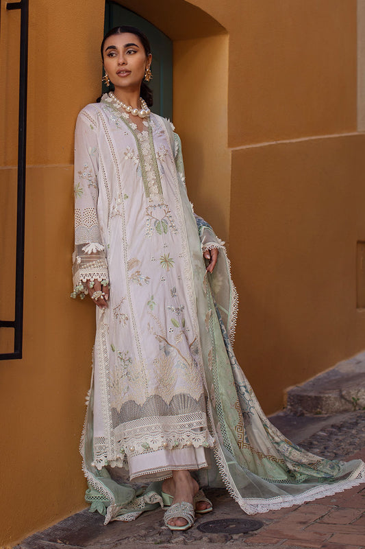 Ansab Jahangir Lawn 2025 | AJ-LL-25-7