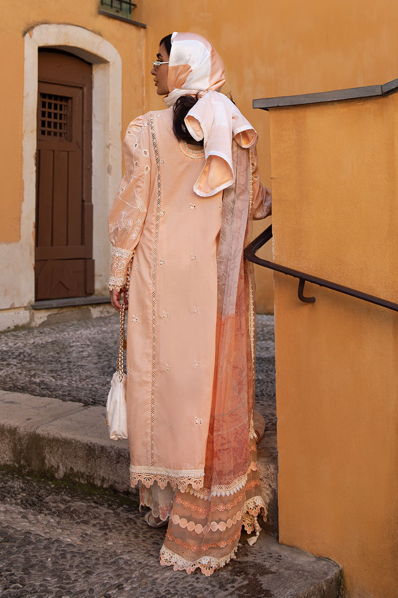 Ansab Jahangir Lawn 2025 | AJ-LL-25-9