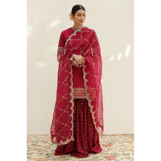 PINK OUTFIT | DYOT | Sheesham' 24