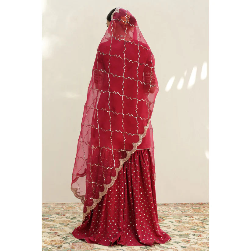 PINK OUTFIT | DYOT | Sheesham' 24