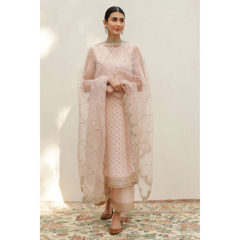 POWDER PINK OUTFIT | DYOT | Sheesham' 24