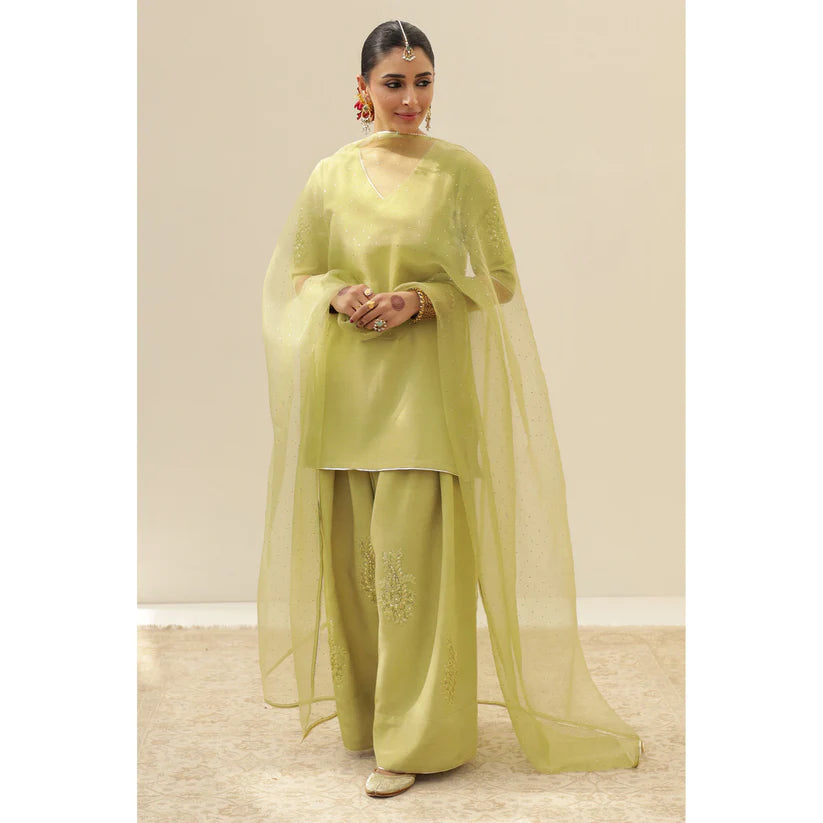 AVACADO GREEN OUTFIT | DYOT | FESTIVE' 25