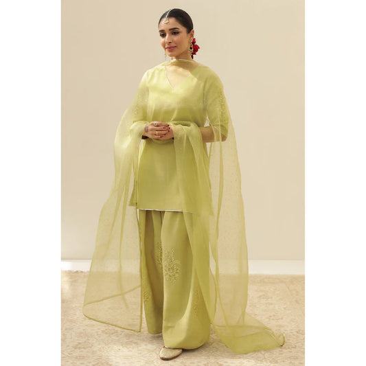 AVACADO GREEN OUTFIT | DYOT | FESTIVE' 25