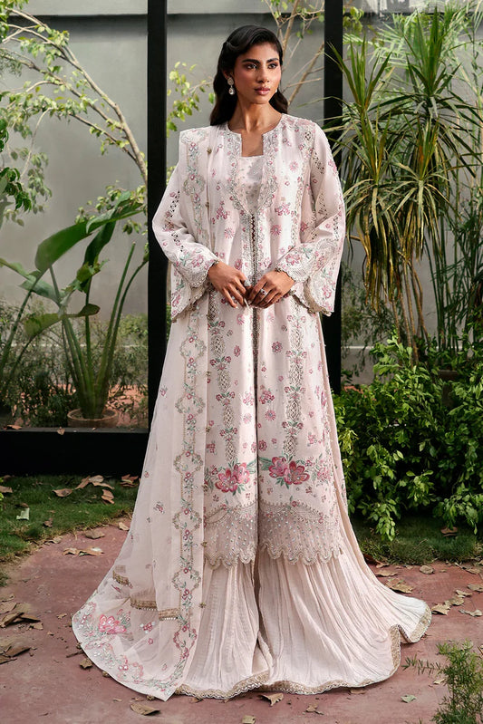 RUE | LA FUCHSIA '25 | AFROZEH