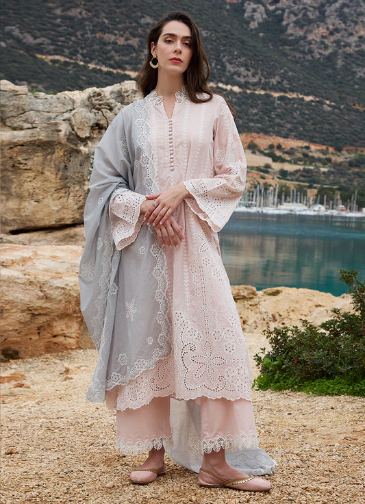 Lawnkari by Image 2025 | LKSS25-D3