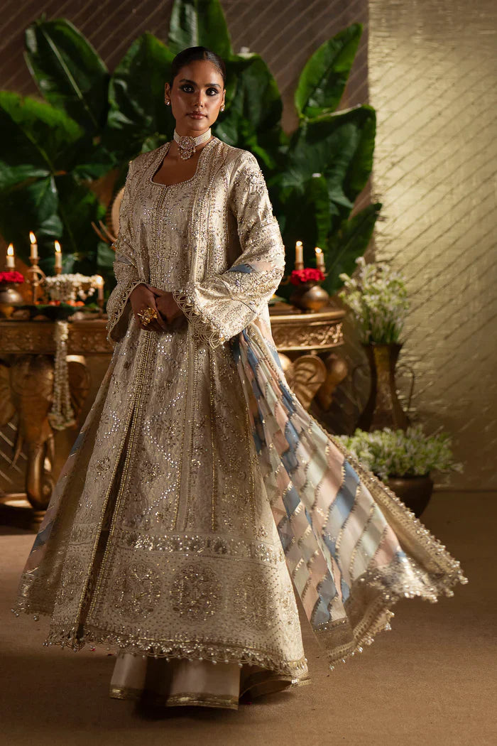 Saad Bin Shahzad Laavni '25 - Sophia