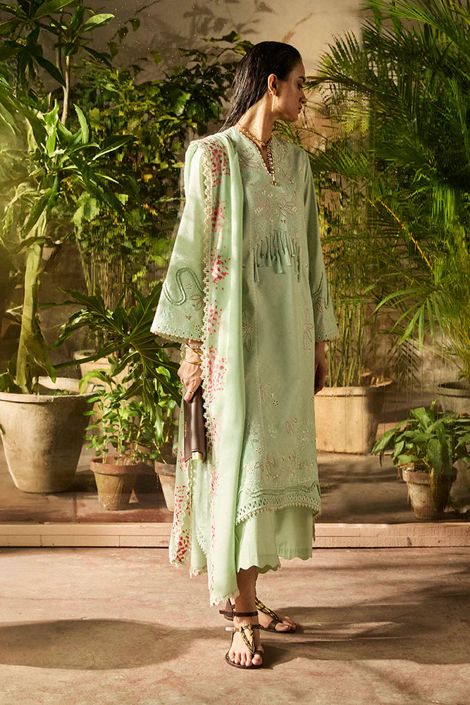 NORE | BASIC SUMMER'25 | SUFFUSE BY SANA YASIR