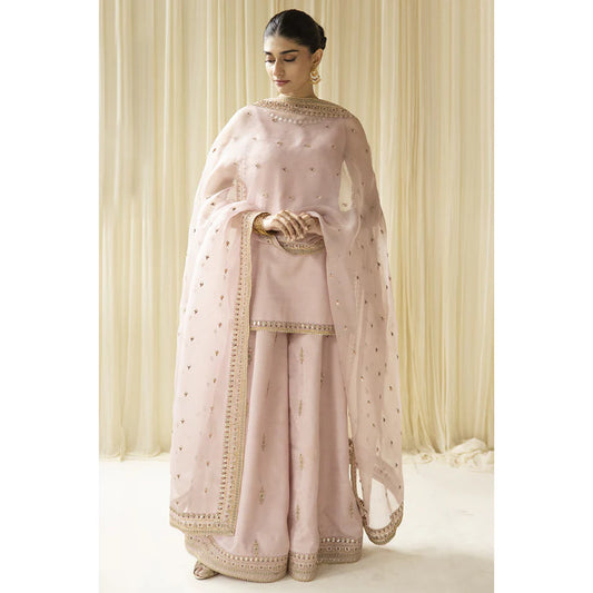 PINK OUTFIT | DYOT | Sheesham' 24