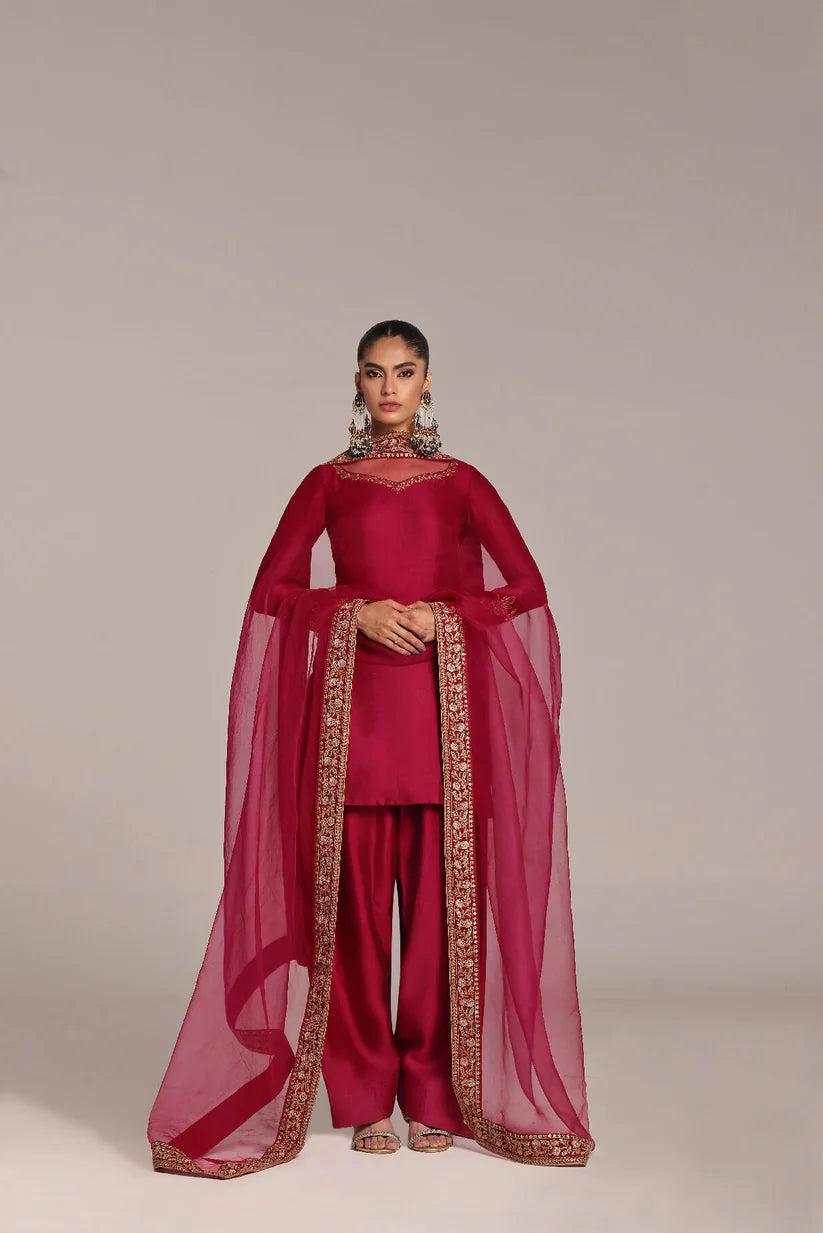 Petrel | Wajahat Mansoor