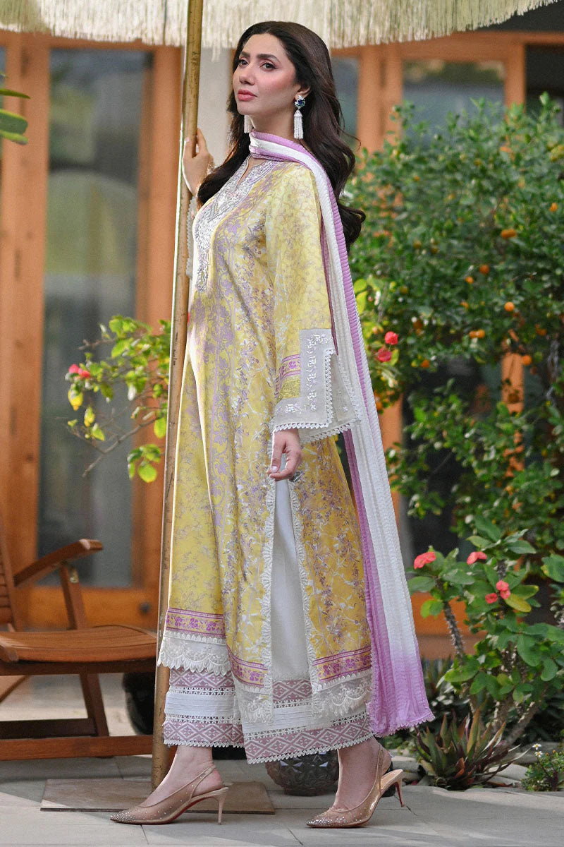 Ansab Jahangir Secrets & Silk '25 - Paloma