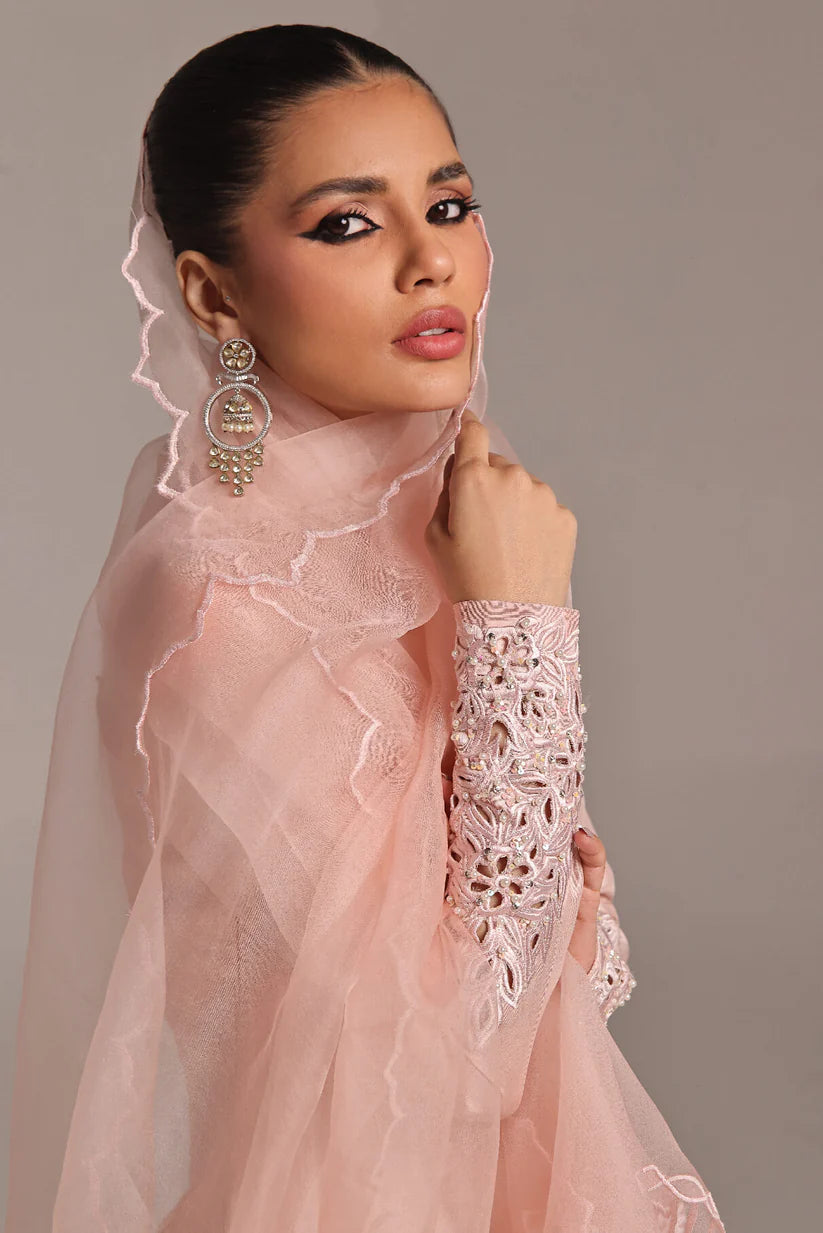 Coco | Wajahat Mansoor