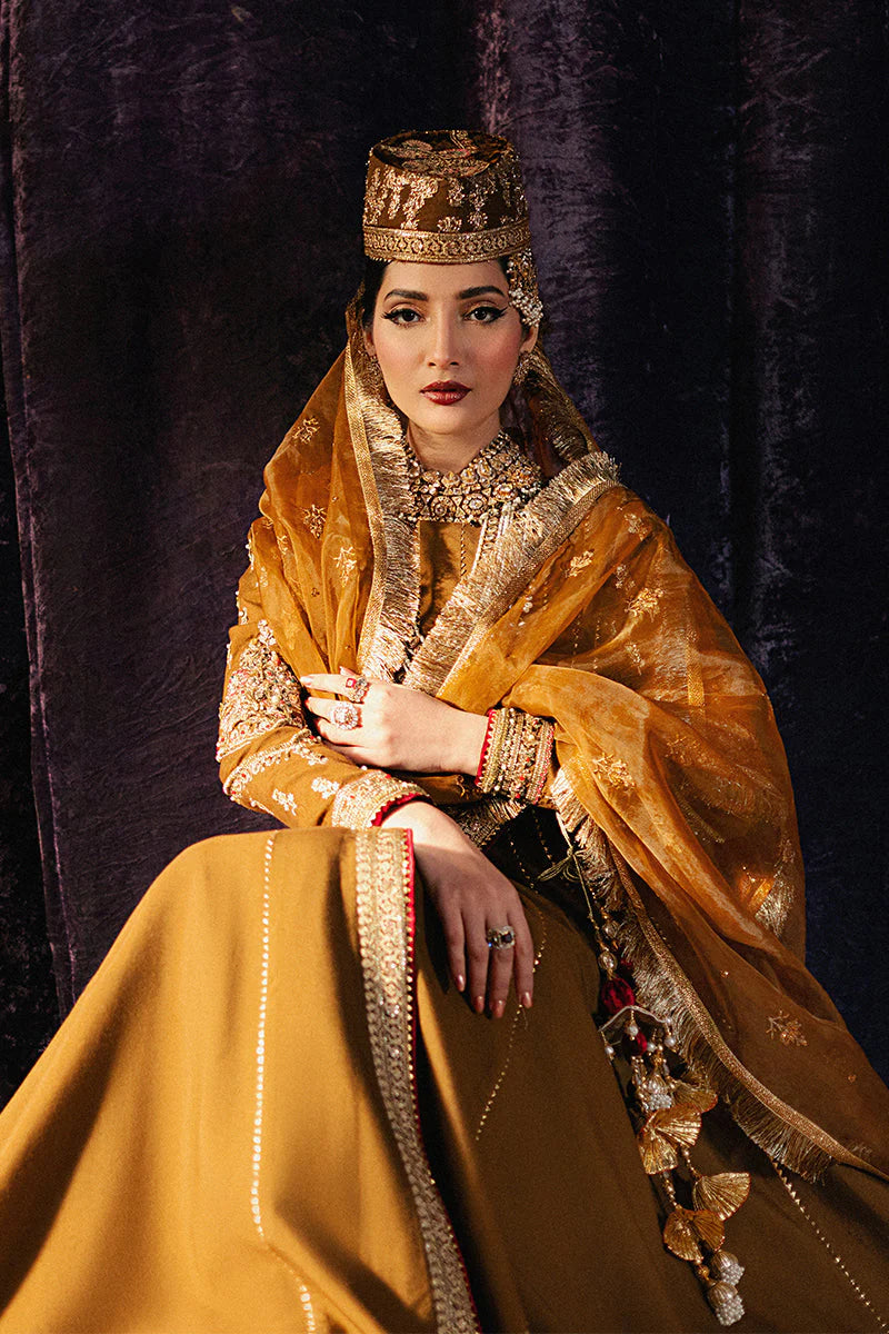 Mohsin Naveed Ranjha Roxy Cinema Velvet Edit FW 24/25 - Anjuman