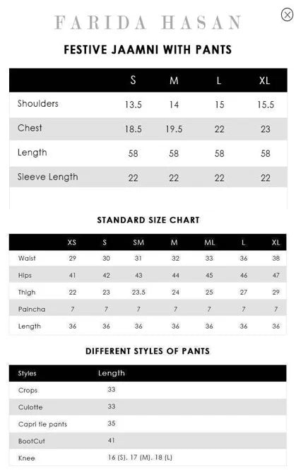 Festive Jaamni With Pants