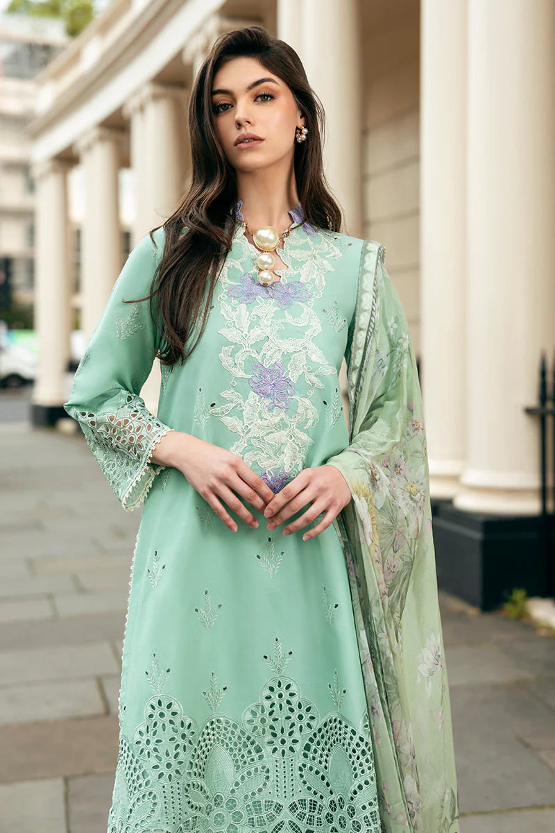 Mushq Hemline Odyssey | BRISTOL BEAUTY