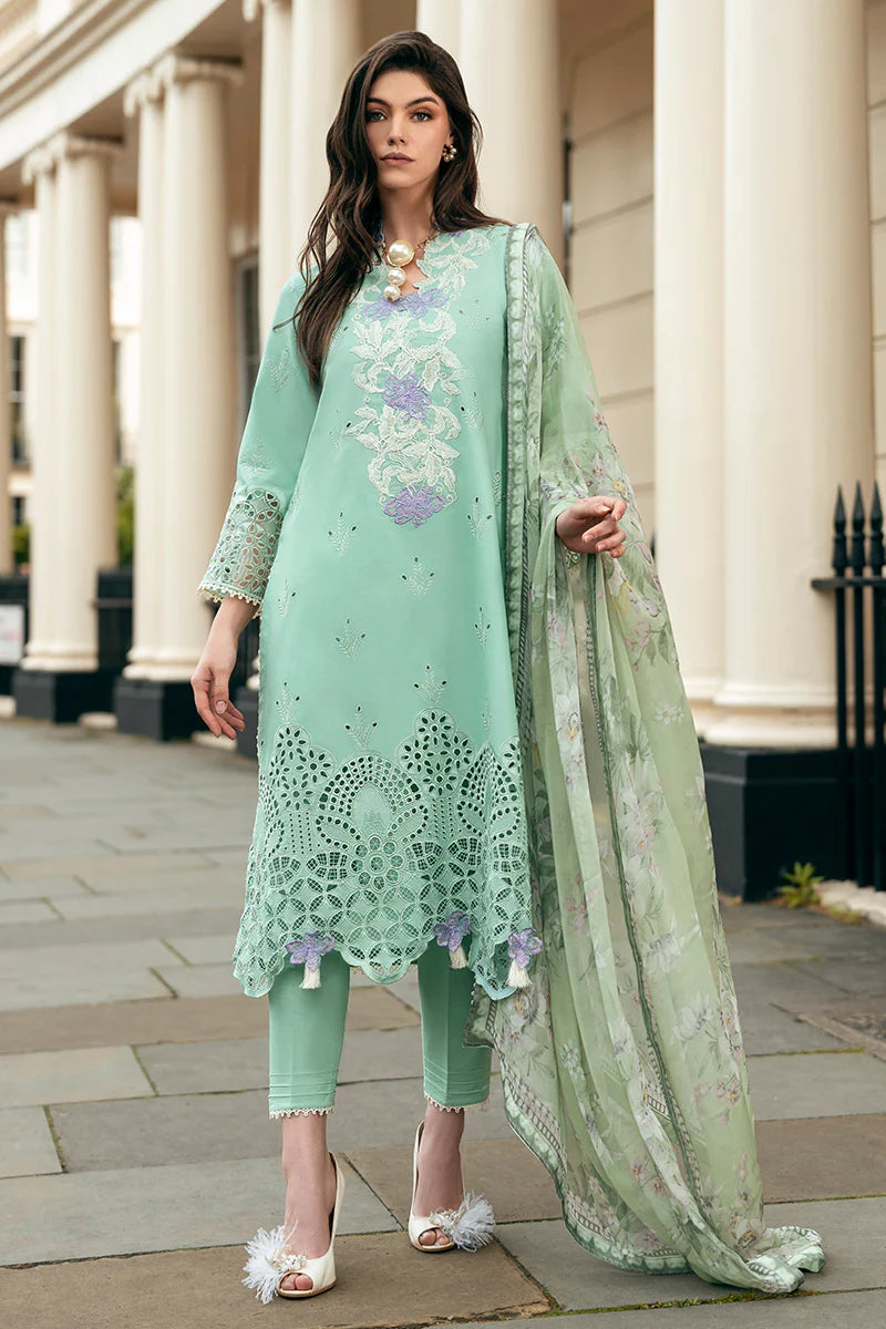 Mushq Hemline Odyssey | BRISTOL BEAUTY