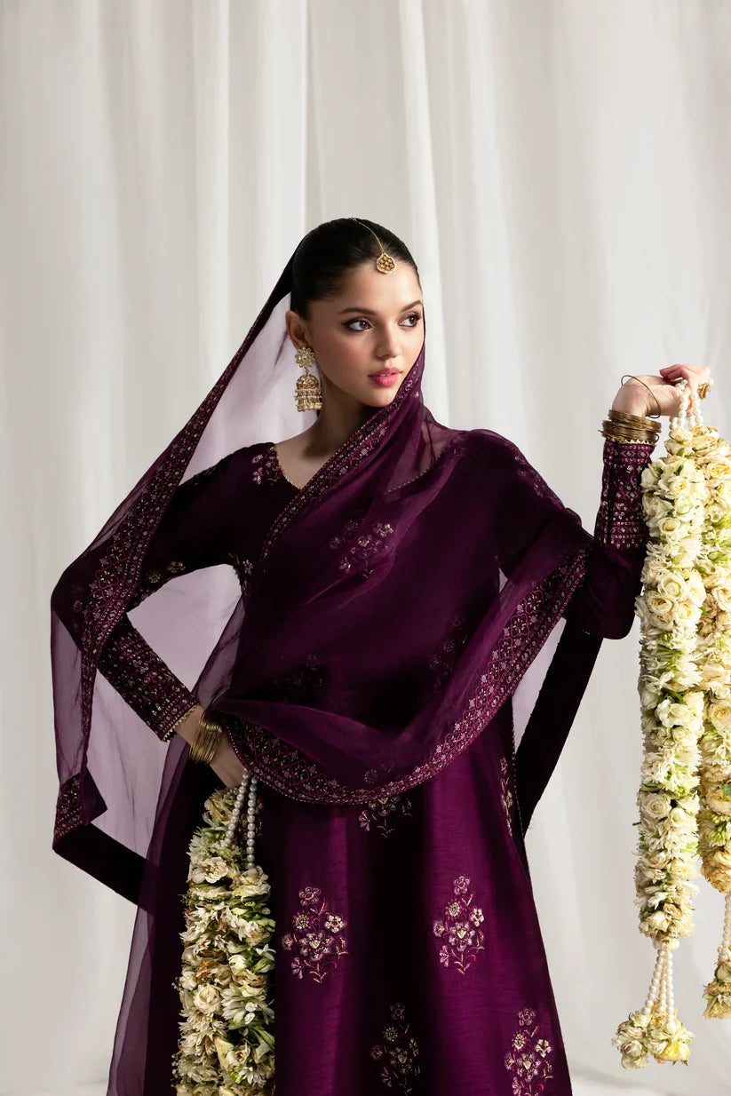 DEEP PLUM LUXURY WEDDING EDIT 2025 (NPA3-25437) | ZAIB