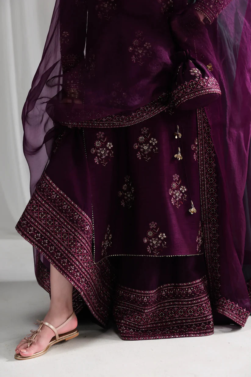 DEEP PLUM LUXURY WEDDING EDIT 2025 (NPA3-25437) | ZAIB