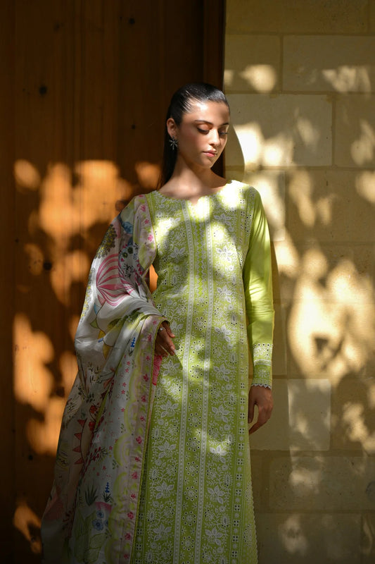 Zaib Summer My Love '25 - CARNIVAL (2) - PASTEL MINT GREEN (NEL-25615)