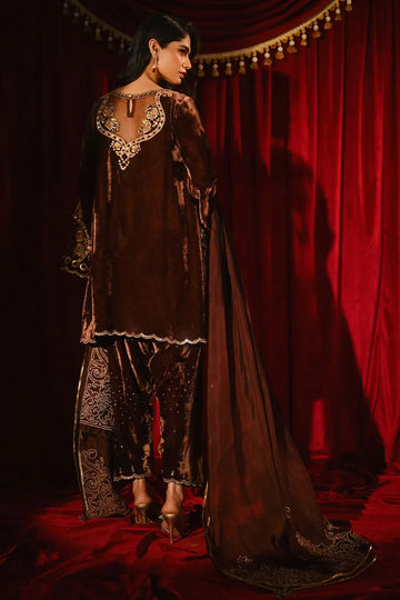 Ansab Jahangir So Hot - Luxury Velvets '25 - Roshni