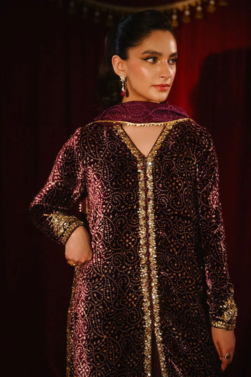 Ansab Jahangir So Hot - Luxury Velvets '25 - Sabeen