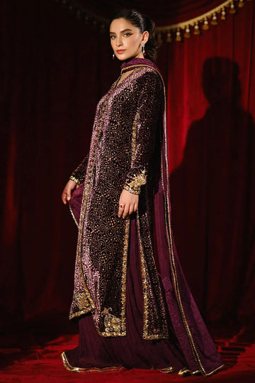 Ansab Jahangir So Hot - Luxury Velvets '25 - Sabeen