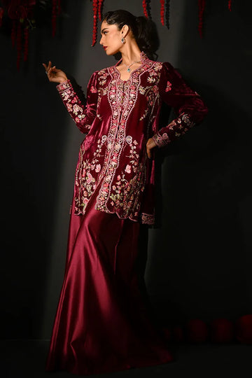Ansab Jahangir So Hot - Luxury Velvets '25 - Safina