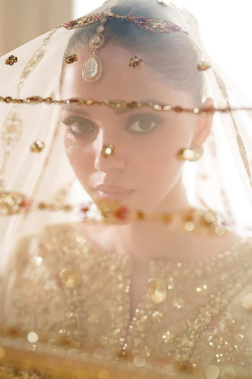 Baroque Unstitched Chantelle '25 - EMBROIDERED NET CH14-02