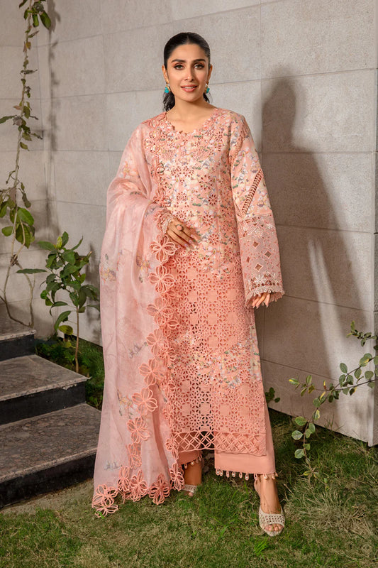 Rang Rasiya Premium Eid Collection ’24 | RR24V04PED13