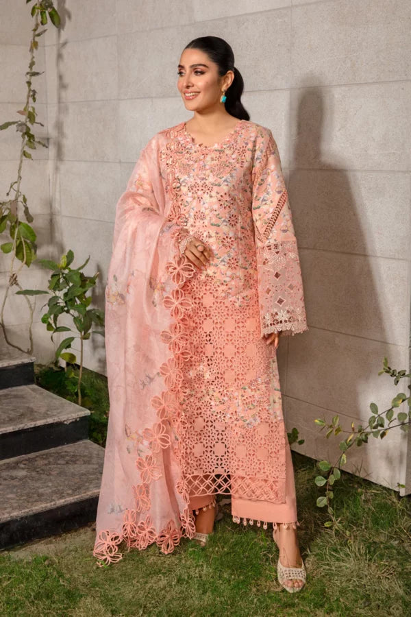 Rang Rasiya Premium Eid Collection ’24 | RR24V04PED13