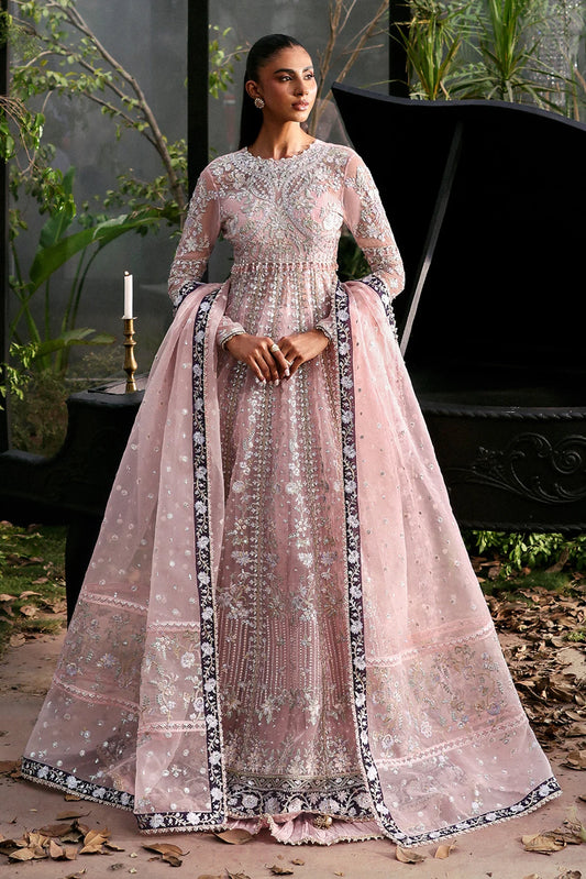 ZEAL | LA FUCHSIA '25 | AFROZEH