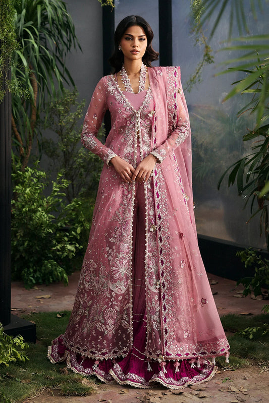 SERAIRA | LA FUCHSIA '25 | AFROZEH