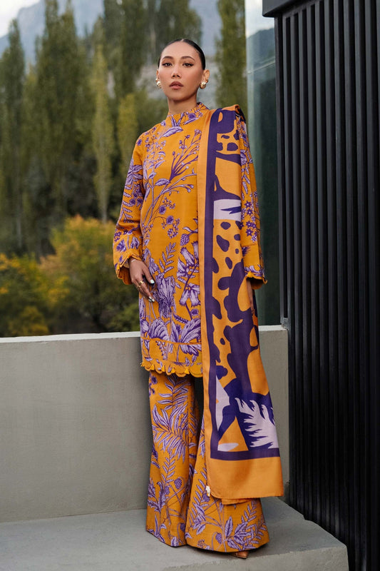 MARIA. B. M-Basic Winter 2024 | 501-A