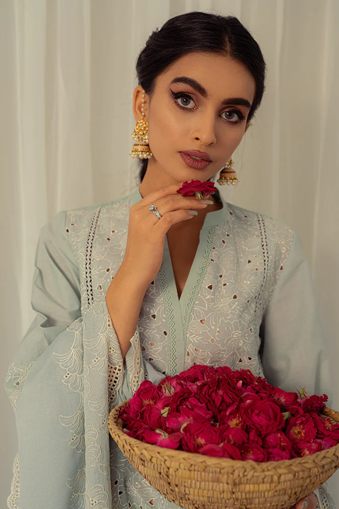 BLUE IVY-3PC CHIKAN KARI LAWN SUIT