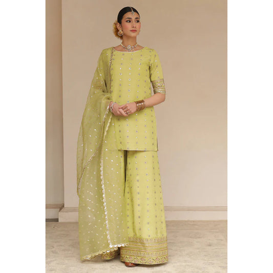 AVACADO GREEN OUTFIT | DYOT | Sheesham' 24