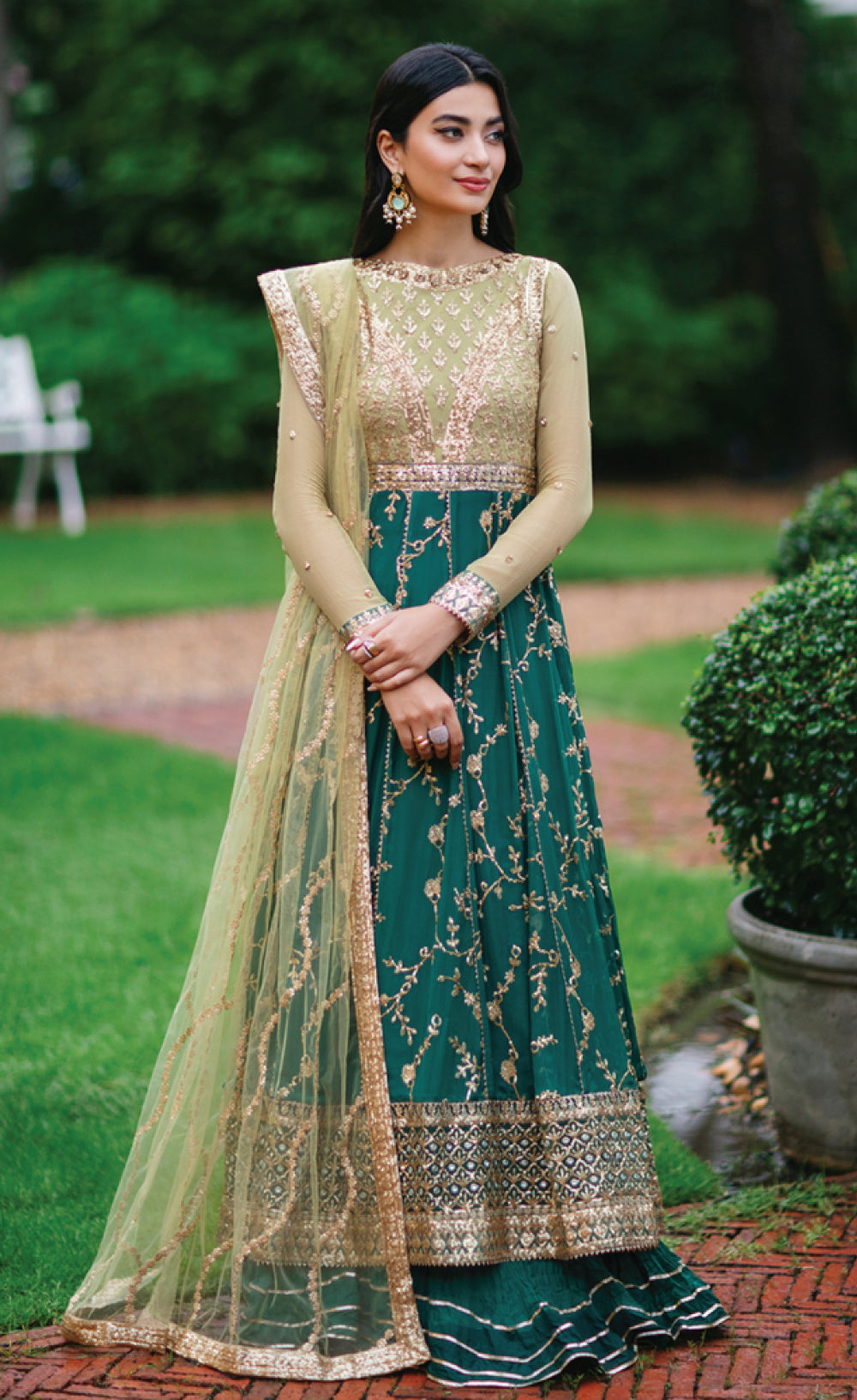 Roheenaz Aafreen Luxury Chiffon Collection – CHANDANI