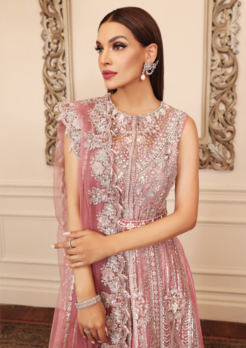 Anaya Opulence Hand Embellished Embroidered Chiffon – CHLOE