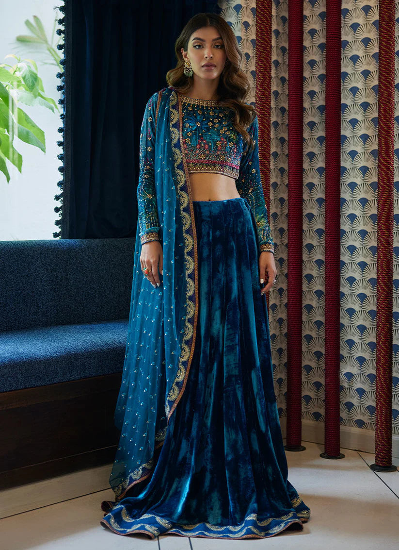 Marli Onyx Saree And Velvet Blouse | Velvet | FARAH TALIB AZIZ