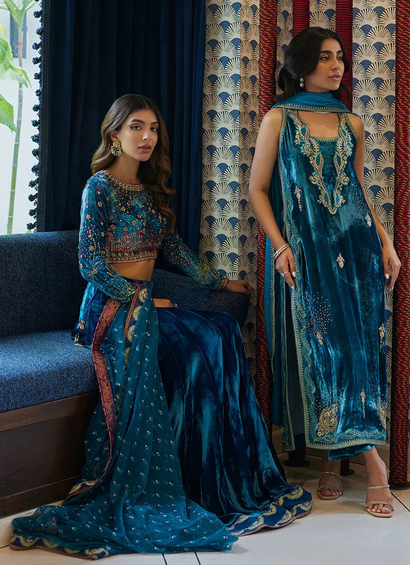 Marli Onyx Saree And Velvet Blouse | Velvet | FARAH TALIB AZIZ