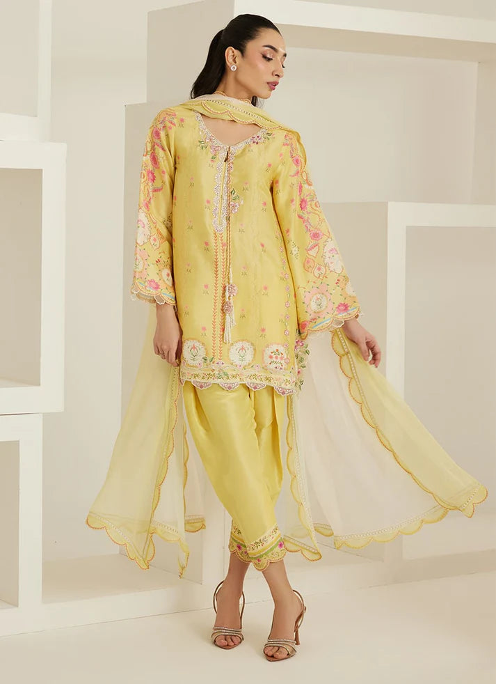 Evelina Shirt And Dupatta | Tara Eid'26 | FARAH TALIB AZIZ