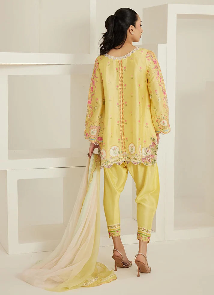 Evelina Shirt And Dupatta | Tara Eid'26 | FARAH TALIB AZIZ
