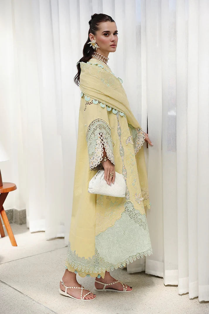 CM-02 AYLA | Chikankari Eid Edit '26 | Qalamkar