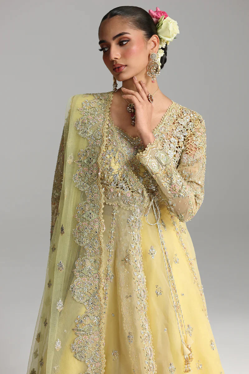 RH-06 HOOR | Shadmaani | Qalamkar