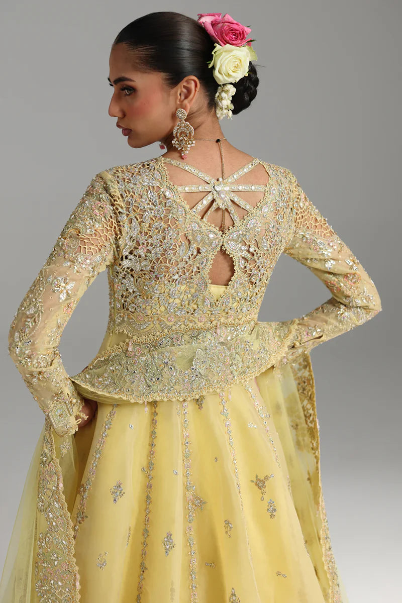 RH-06 HOOR | Shadmaani | Qalamkar