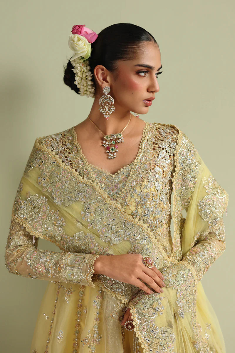 RH-06 HOOR | Shadmaani | Qalamkar