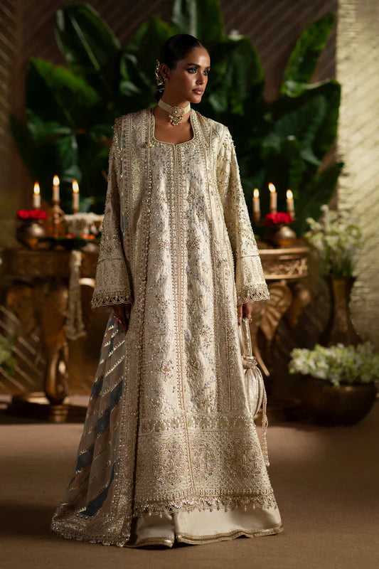 Saad Bin Shahzad Laavni '25 - Sophia