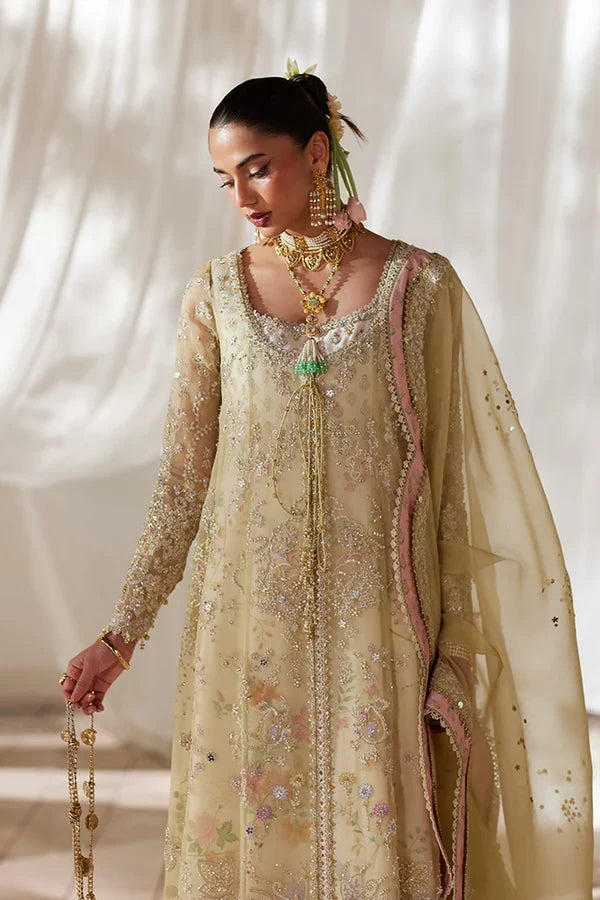 Suffuse Freeshia RTW '26 - Silvia