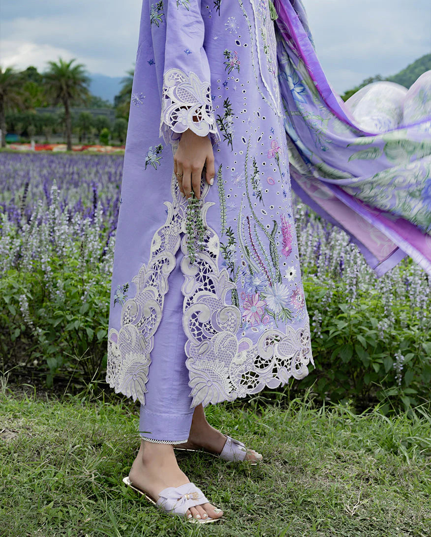 Mushq | Daisy Reverie