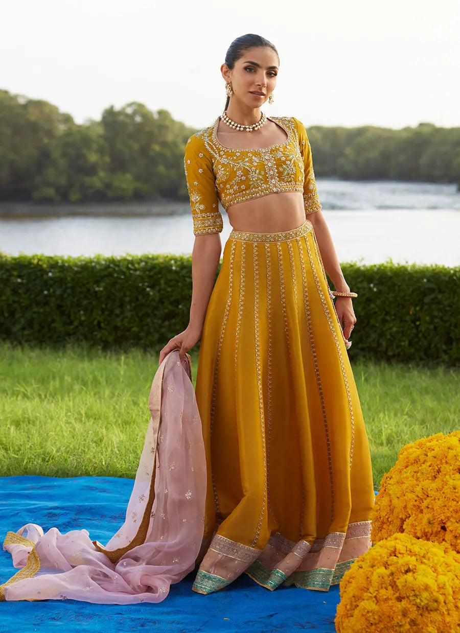 Farah Talib Aziz Mayna Festive Luxe Pret '25 - Zard Lengha Choli